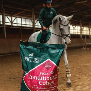 🎄 Nezabudnite na zásoby krmiva počas sviatkov! 🐴 Vianoce sú za rohom a my máme najpredávanejšie SPILLERS krmivá SKLADOM,...